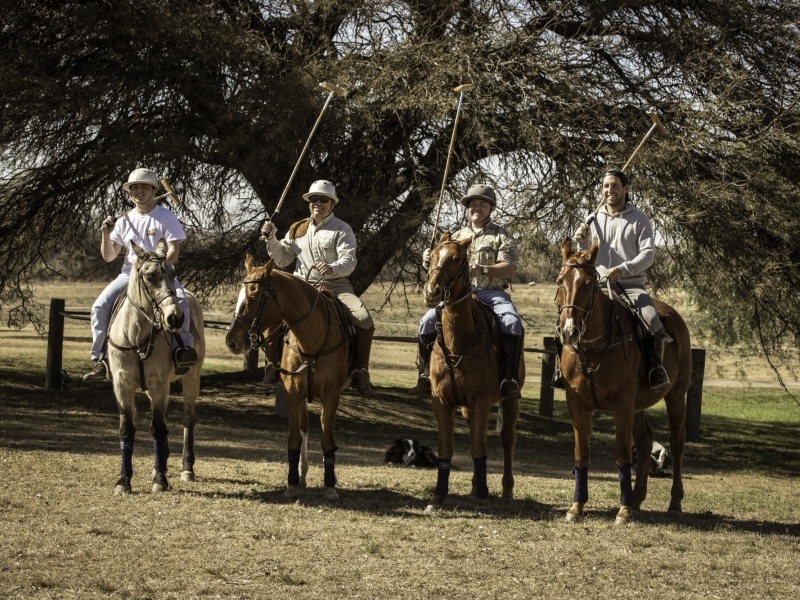 POLO LESSONS