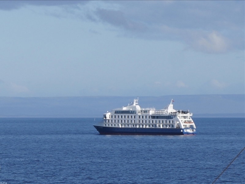 Cruise