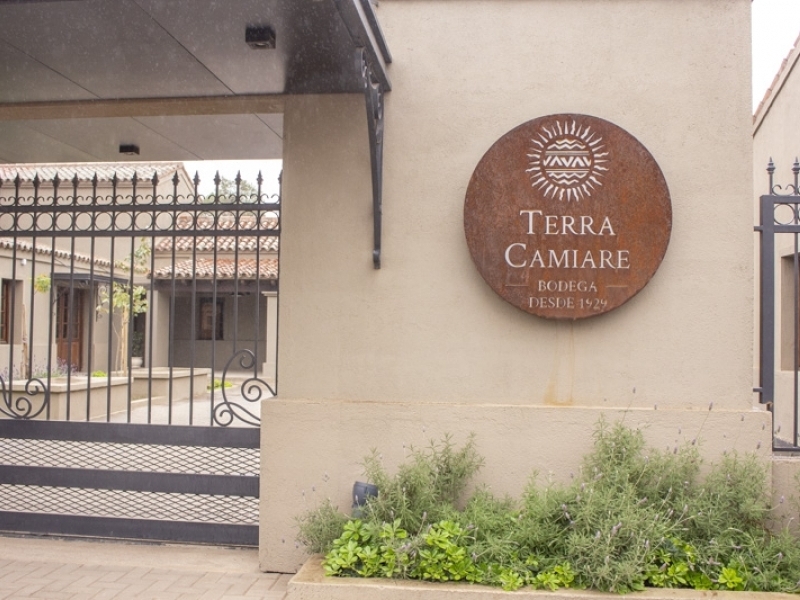 Terra Camiare