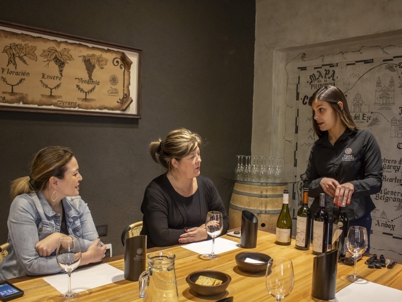 Wine tasting