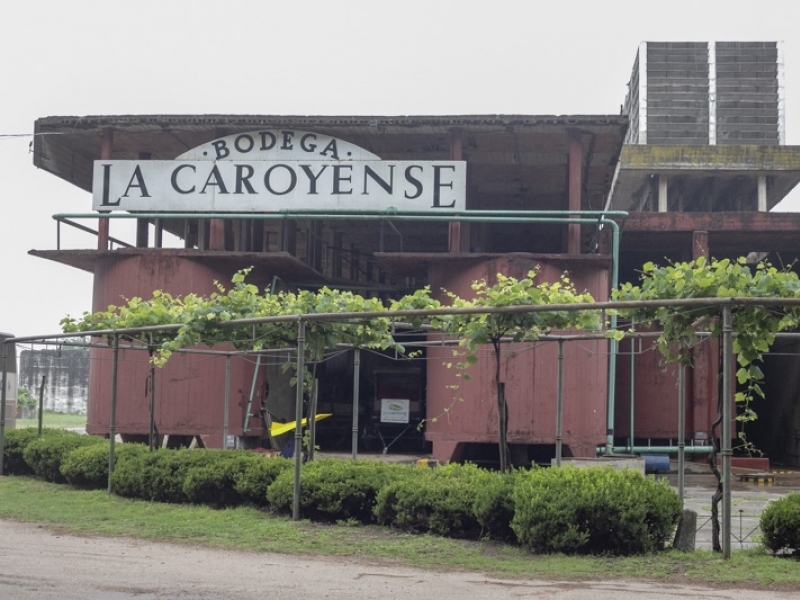La Caroyense 