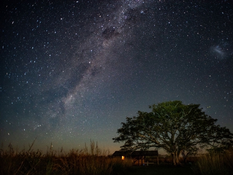 ARGENTINA´S LARGEST NATIONAL PARK: IBERA