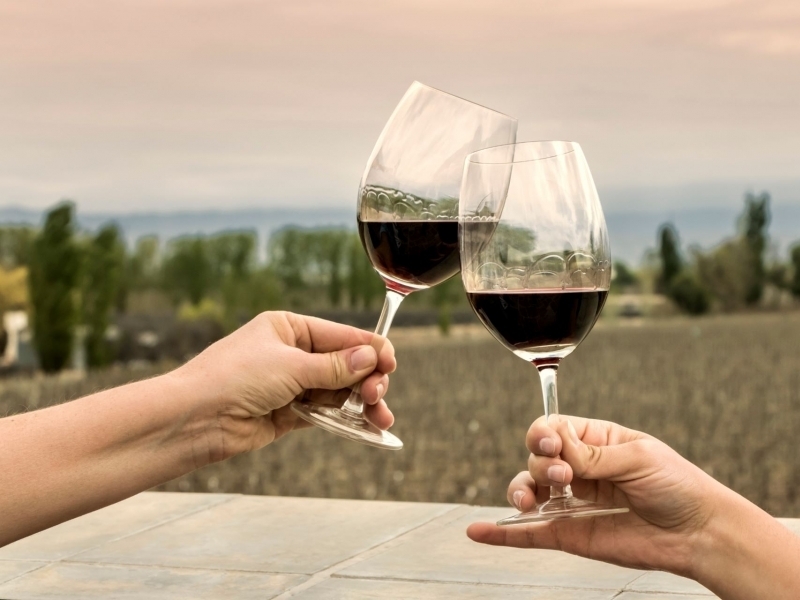 How to Choose a Wine Tour in Mendoza