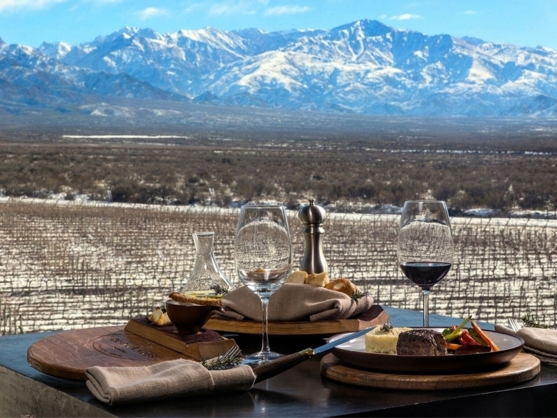 Visiting Mendoza Wineries