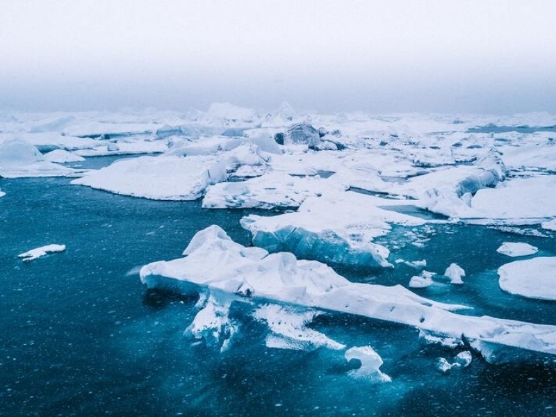 The Arctic ice
