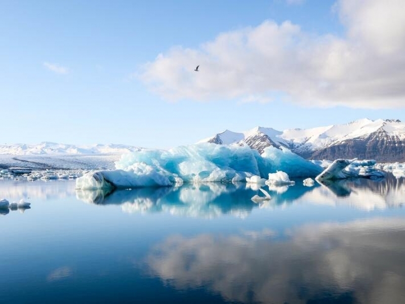 The Arctic Ocean