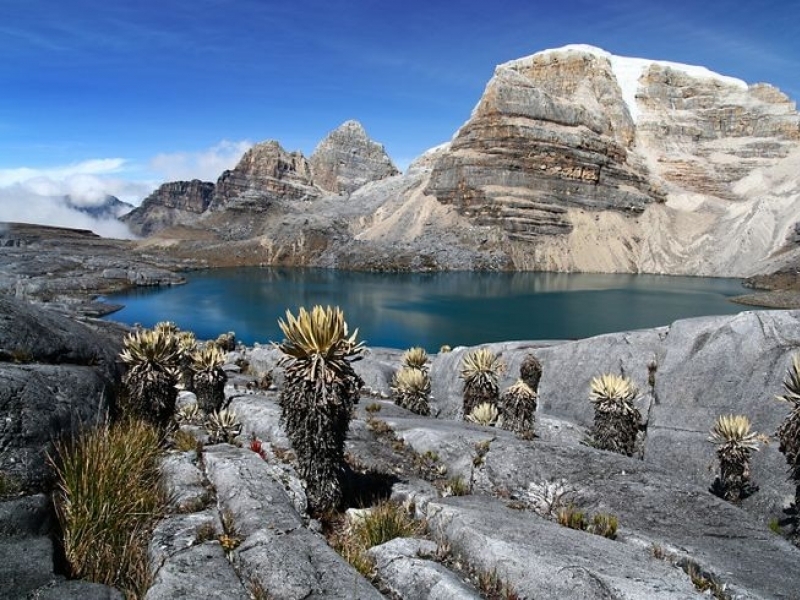 El cocuy