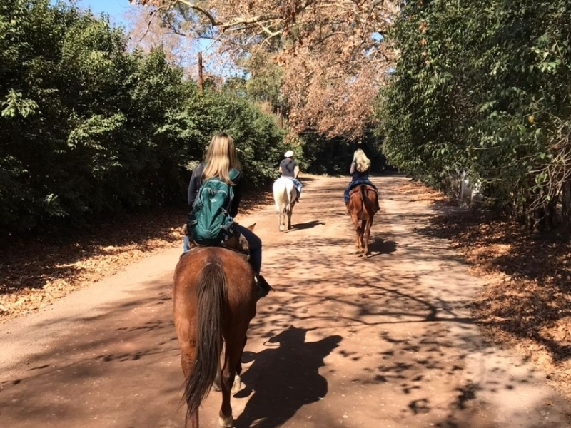 Horseback riding in Totoral