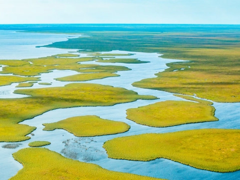 Ultimate Travel Guide to the Breathtaking Esteros del Iberá