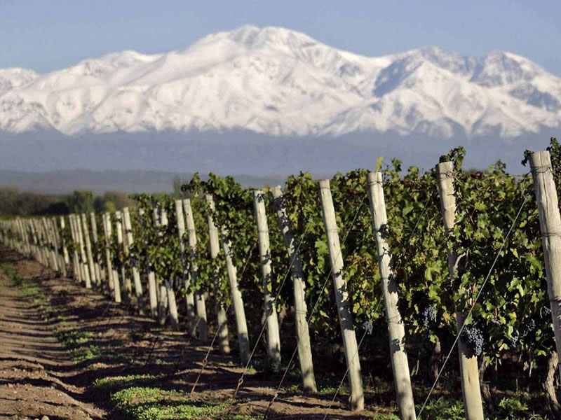 Mendoza from the Sky